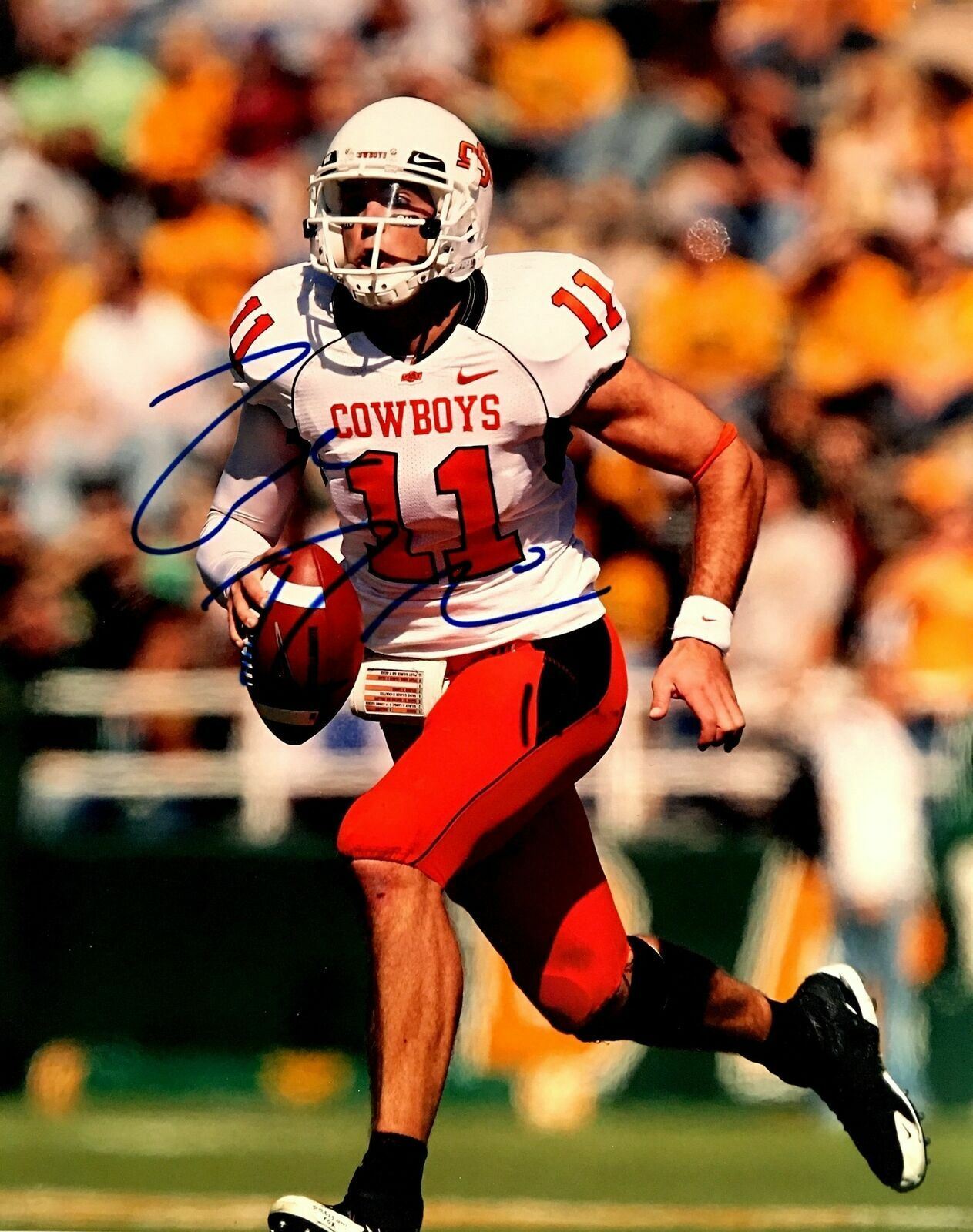 Zac Robinson Signed Oklahoma State Cowboys 8x10 Photo Poster painting  SHIP Autograph Auto