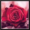 Rose  | Full Round Diamond Painting Kits