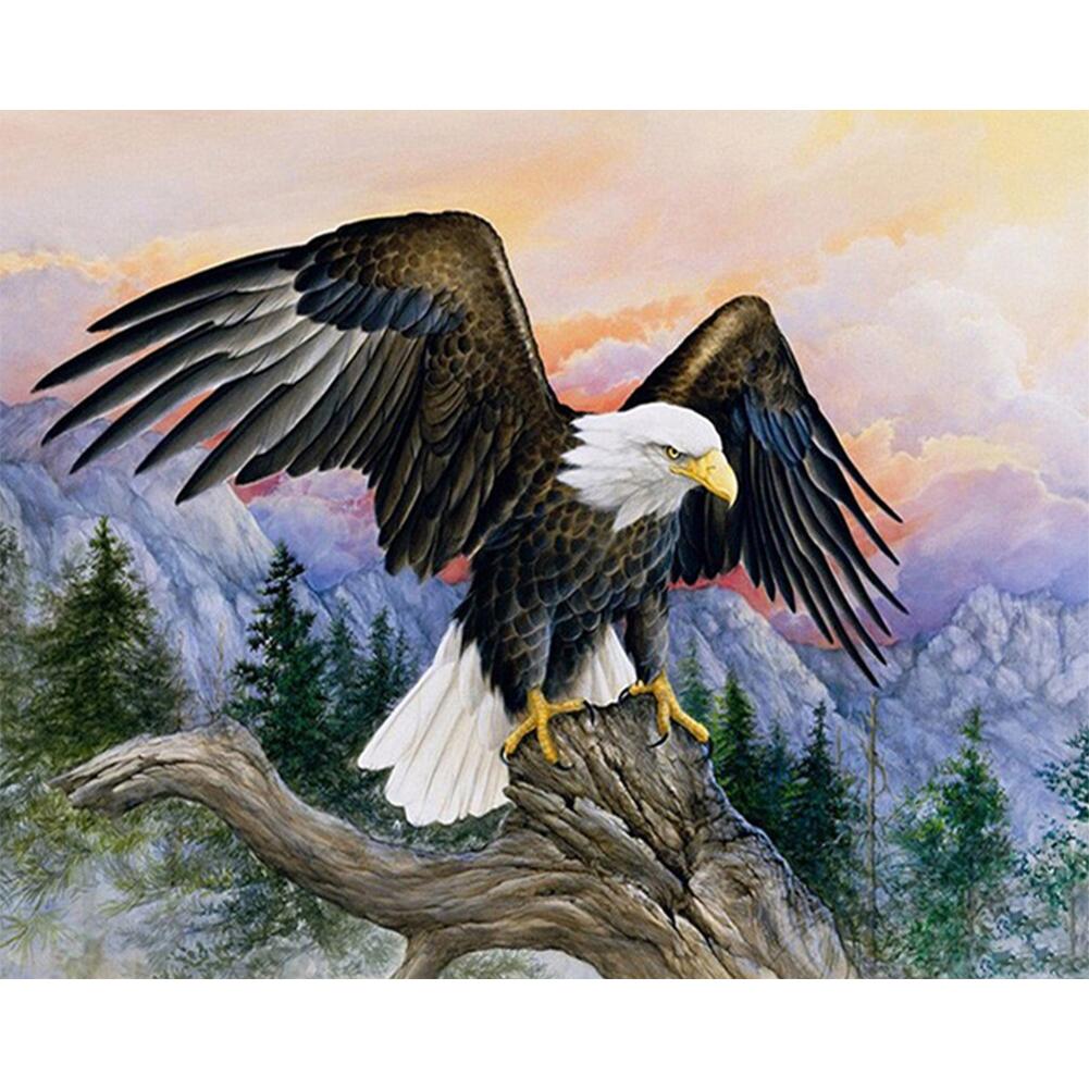 

40x50cm - Paint By Numbers Fierce Eagle, 501 Original