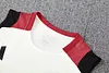 2025/2026 Manchester United Training Kit Football Jersey 1:1 Thai Quality