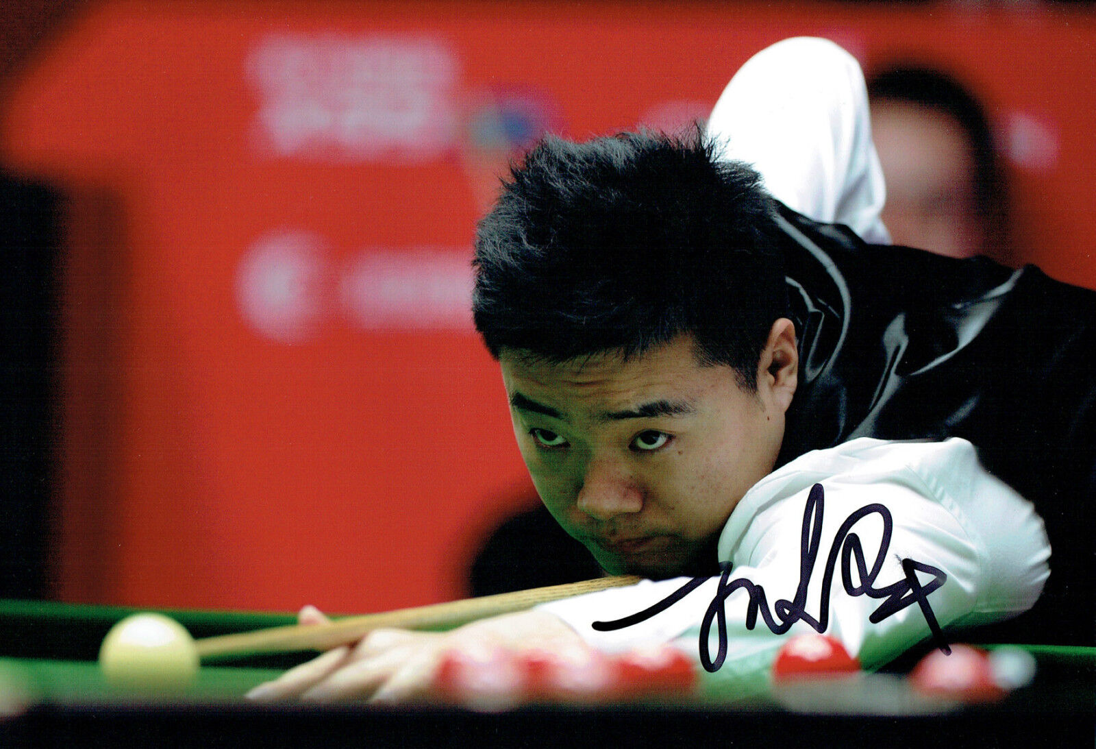 Ding JUNHUI 丁俊晖 Signed Autograph 12x8 Sheffield Snooker Photo Poster painting AFTAL COA