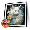 Kitten-Full Round Diamond Painting 30*30CM