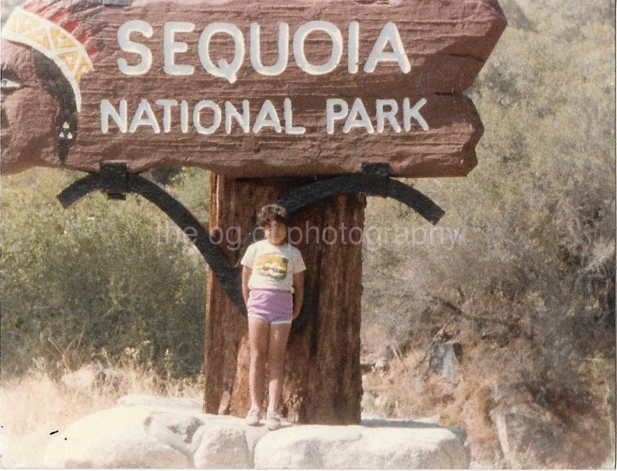 A Little Girl At Sequoia National Park FOUND Photo Poster paintingGRAPH Color VINTAGE 06 8 H