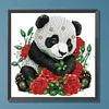Panda avec rose-peinture diamant en forme spéciale-30 * 30cm