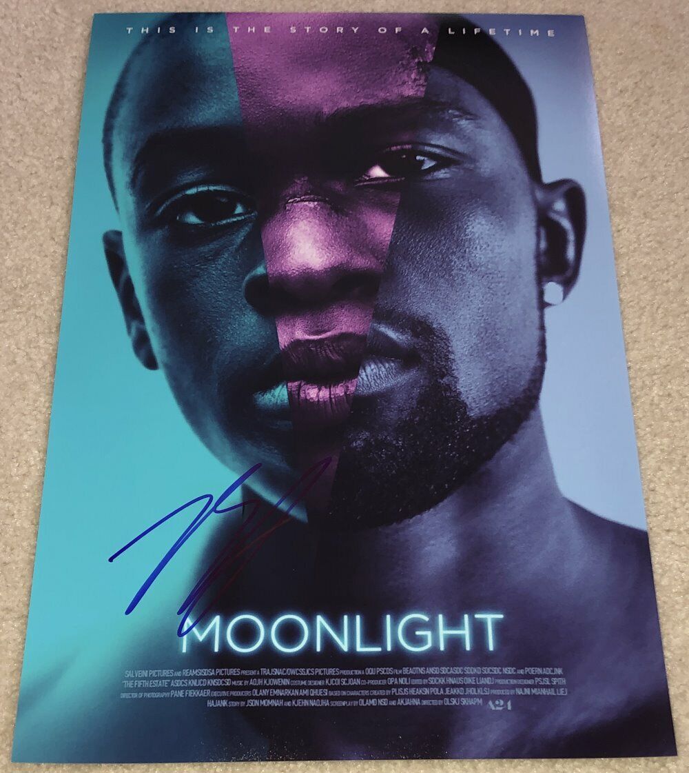 BARRY JENKINS SIGNED AUTOGRAPH MOONLIGHT 12x18 Photo Poster painting w/EXACT PROOF