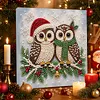 (20x20cm)Owl Xmas Pearl Painting Art Kits With Inner Frame Pearl Gem Paintings Picture Arts Craft for Adults Beginners Home Wall Decor