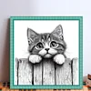 (Multi-Style) Cat On Book-11CT Stamped Cross Stitch 40*40cm/15.75*15.75in