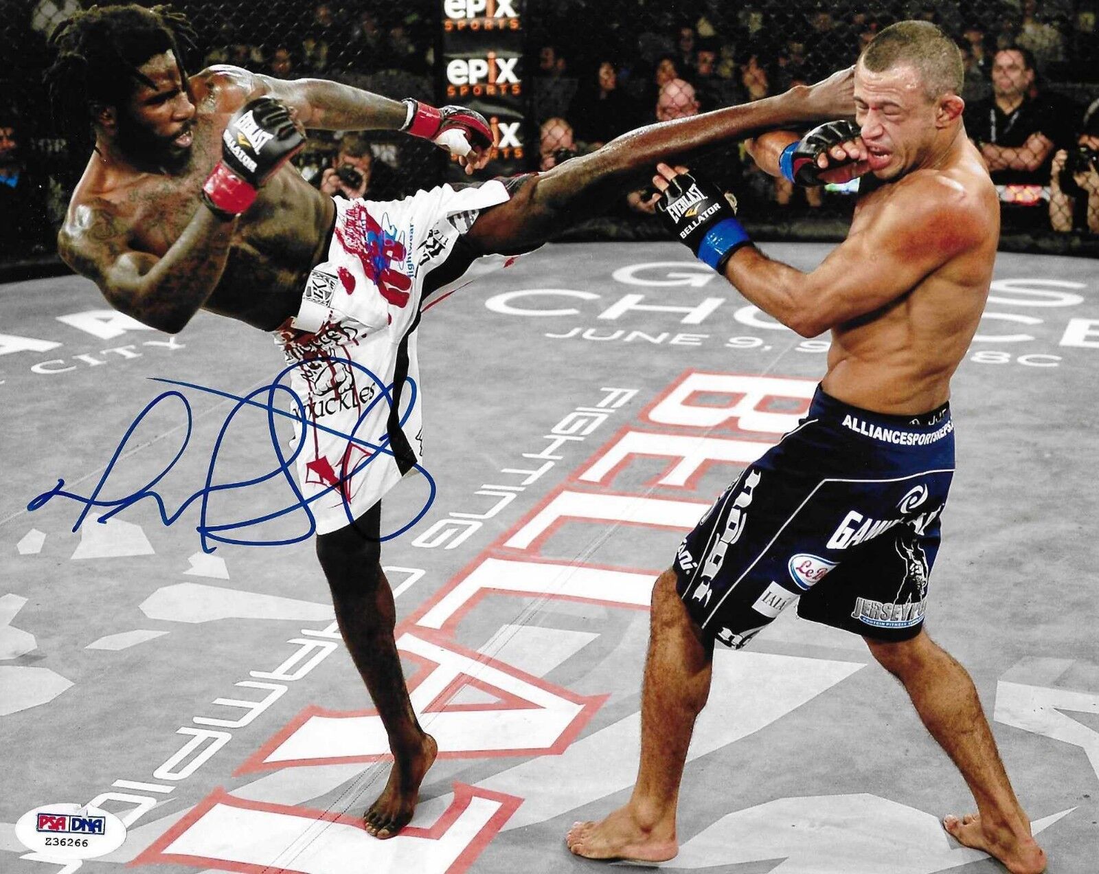 Daniel Straus Signed Bellator MMA 8x10 Photo Poster painting PSA/DNA COA UFC Picture Autograph 1