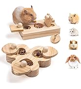  Guinea Pig Toys 