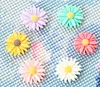 Diamond Drawing Tool | Flower | With Magnet