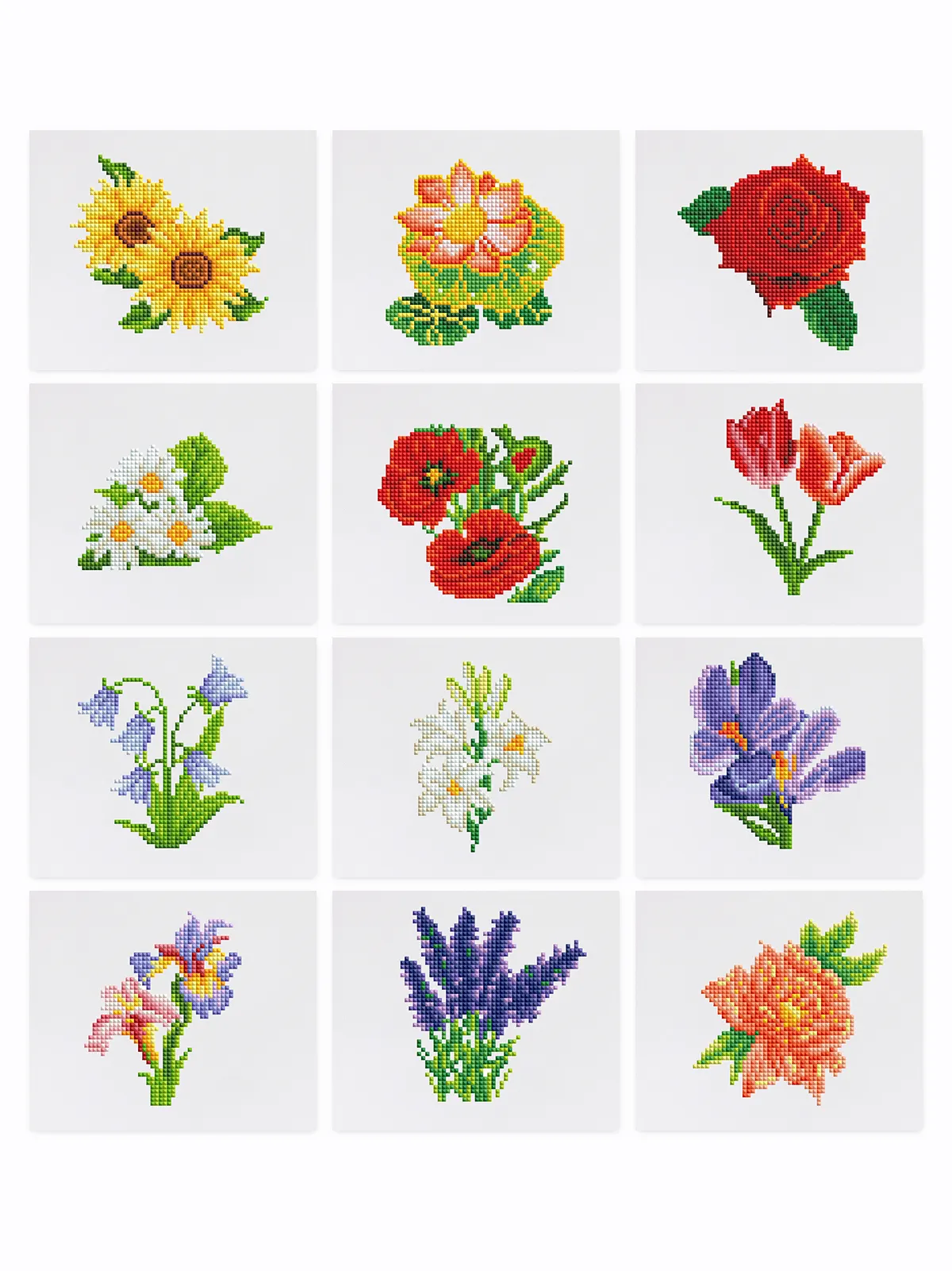 Mini-Colorful Floral Blooms
