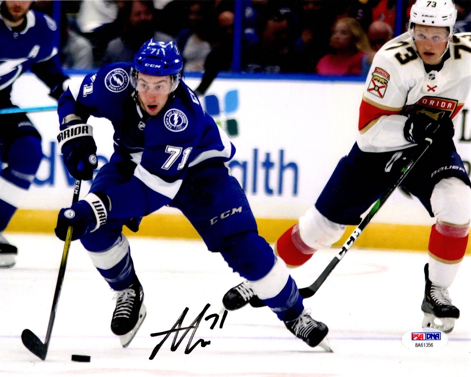 Anthony Cirelli autographed signed 8x10 NHL Tampa Bay Lightning PSA COA