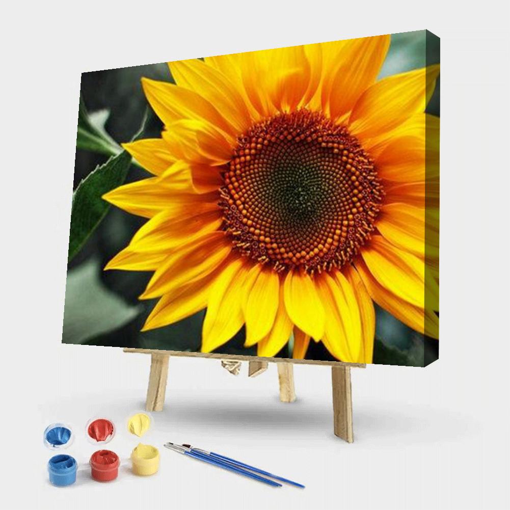 Sunflower - Painting By Numbers - 50*40CM gbfke