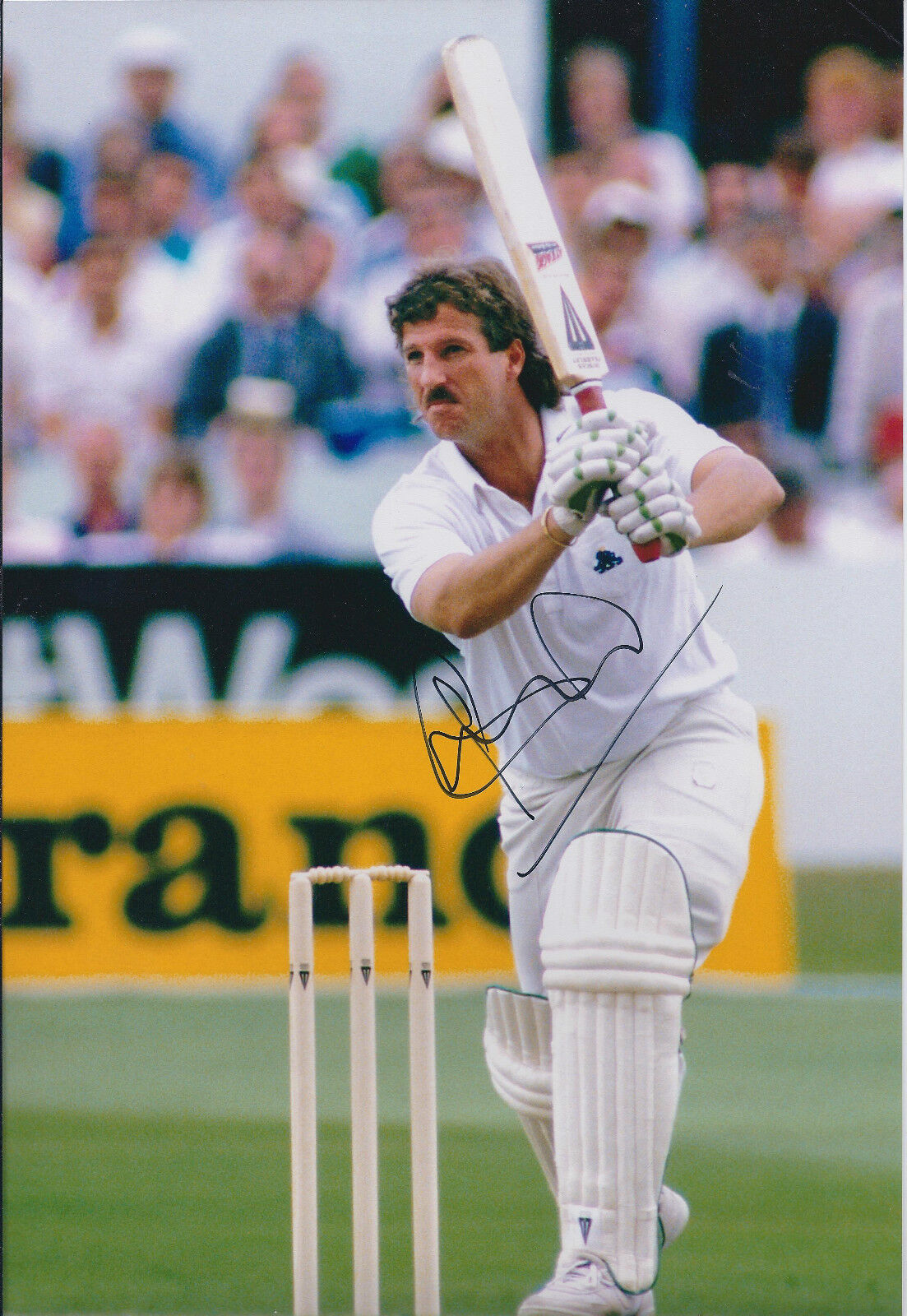 Ian BEEFY BOTHAM SIGNED Autograph 12x8 Photo Poster painting AFTAL COA England ASHES Cricket