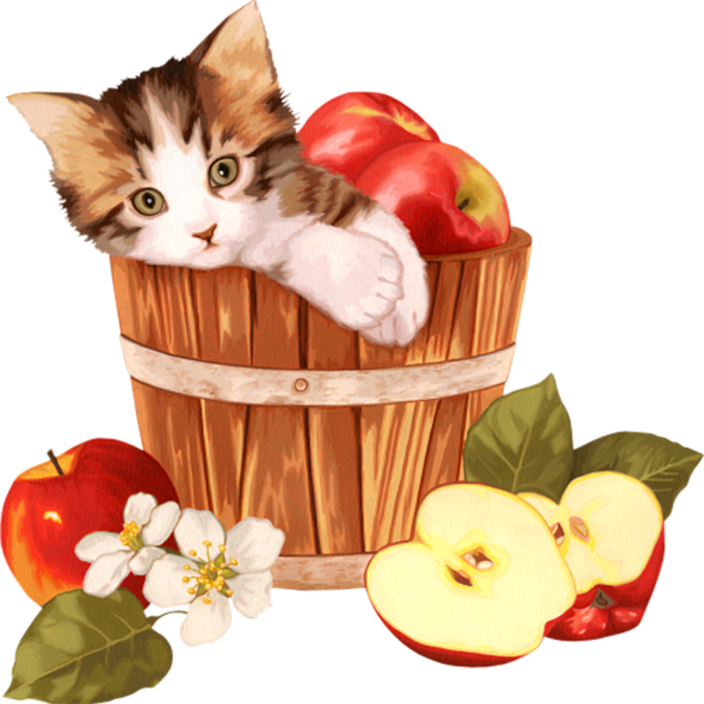 

30*30CM - Round Drill Diamond Painting - Kitten in Basin, 501 Original