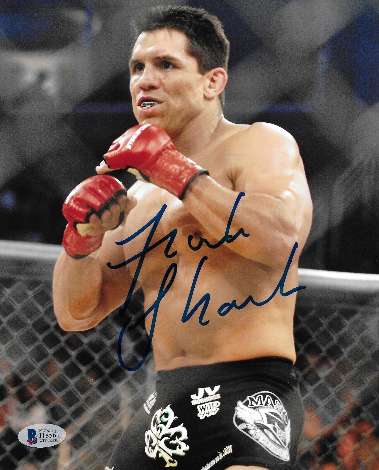 Frank Shamrock Signed 8x10 Photo Poster painting BAS Beckett COA UFC StrikeForce Picture Auto'd