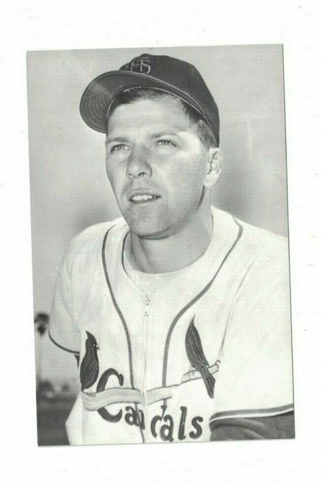 Vintage Cloyd Boyer St. Louis Cardinals 4x6 Kodak Photo Poster painting Postcard RH2