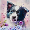 Border Collie Dog-11CT Stamped Cross Stitch 40*40cm