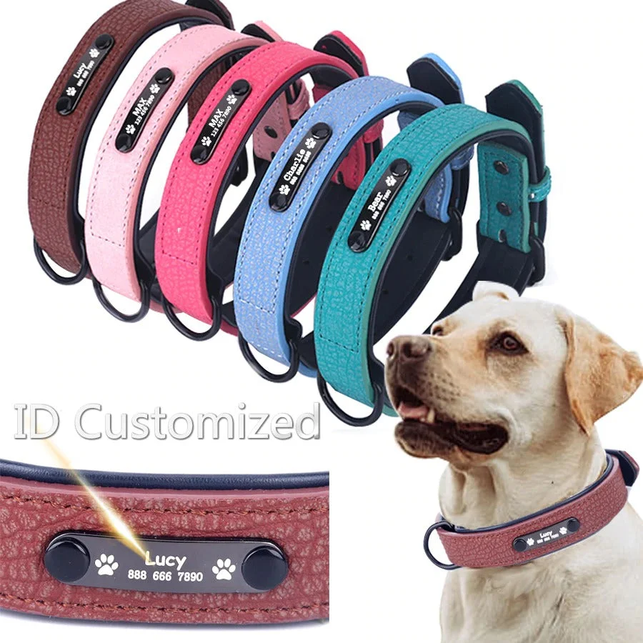 Personalized  Dog Collar (2020)