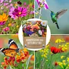 Wildflower Seeds Butterfly and Humming Bird Mix  23 Species 7,500 Seeds Packet