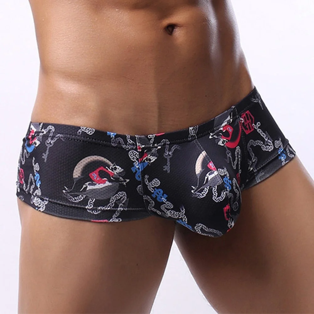 Aonga U Pouch Briefs Bulge U Pouch Panties Men's  Printed Lingerie Low Rise Men's Underwear Fashion s Low Waist Underpants