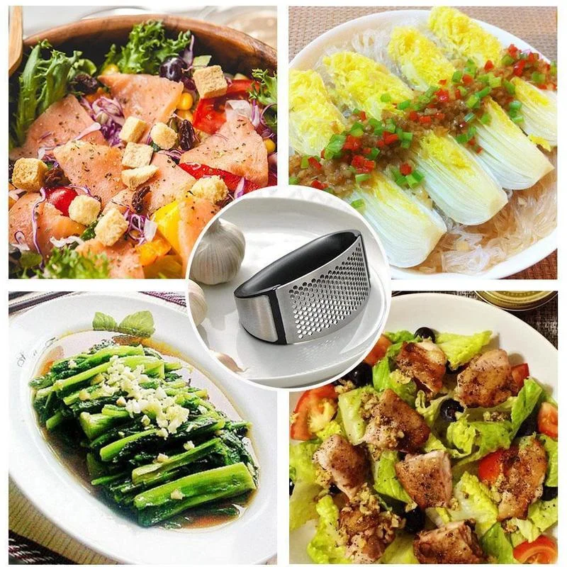 Juicebegonia (🔥HOT SALE NOW-48% OFF) Stainless steel garlic press (BUY 2 GET 1 FREE NOW)