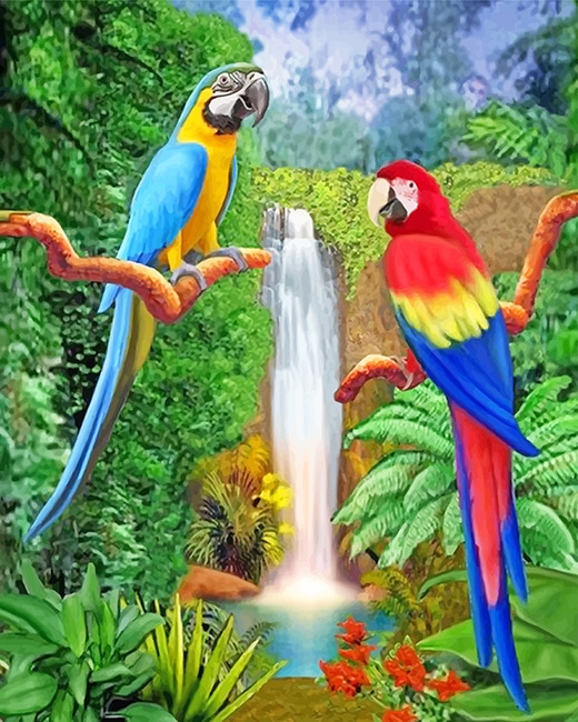 

Beautiful Parrots – Paint By Numbers - 40*50CM, 501 Original