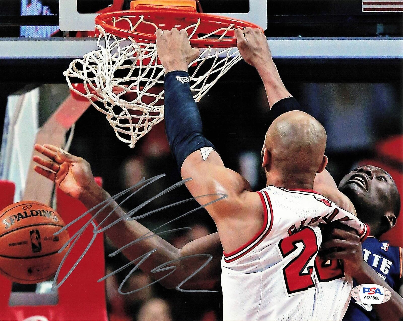 Taj Gibson signed 8x10 Photo Poster painting PSA/DNA Chicago Bulls Autographed