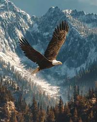 Eagle in Flight - Diamond Painting