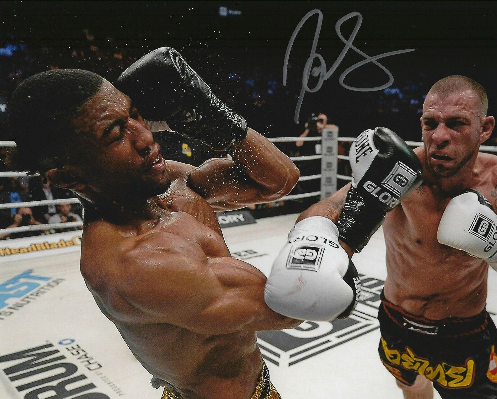 Joe Schilling Signed 8x10 Photo Poster painting Glory Kickboxing Picture Autograph Bellator 9MMA