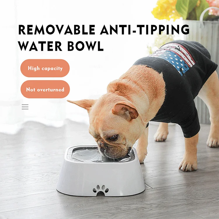 Dogs Drink Water Without Wetting Their Mouths Floating Water Bowl