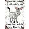 After all these years my wife still thinks I'm sexy - Vintage Metal Signs - 20*30cm/30*40cm