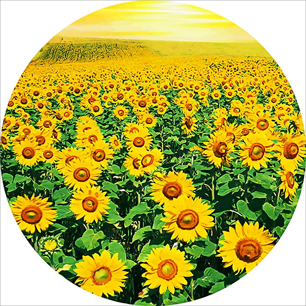 

Sunflower - Round Drill Diamond Painting - 40x40cm, 501 Original