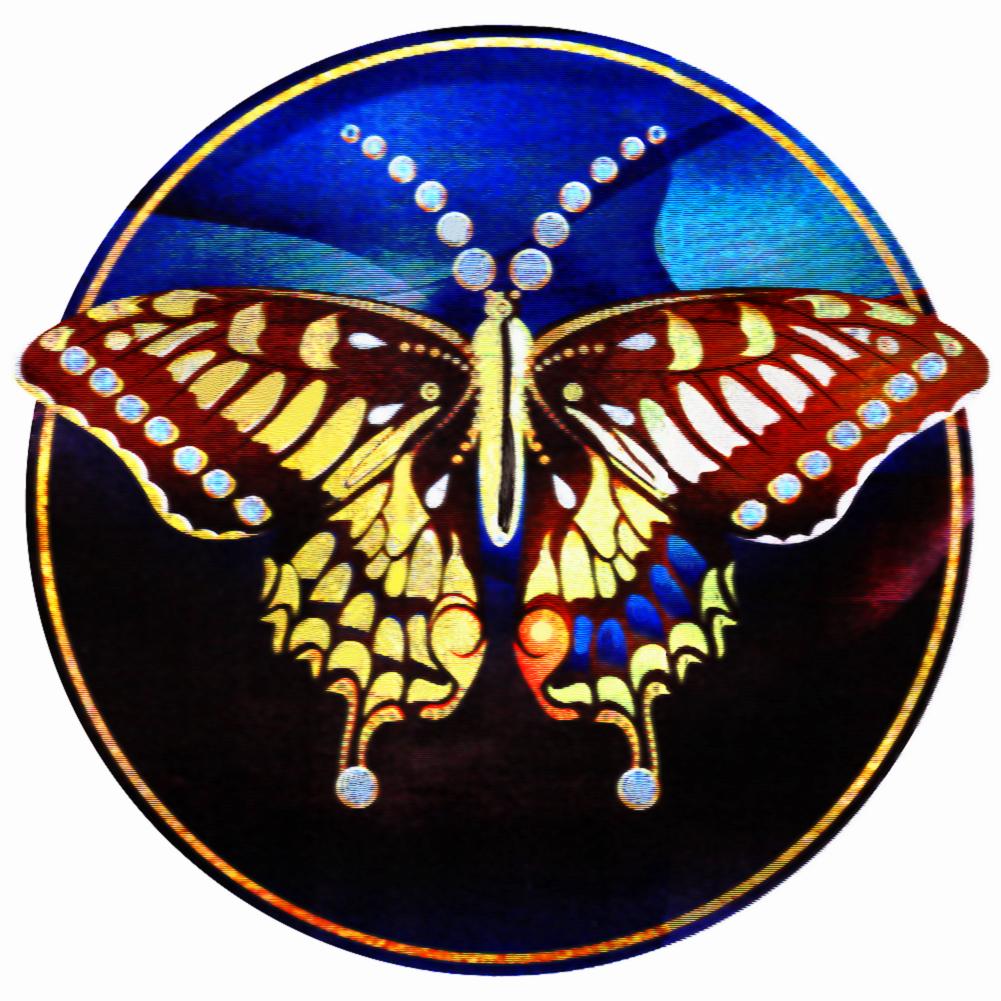 

40x40cm Special Shaped Diamond Painting-Butterfly, 501 Original