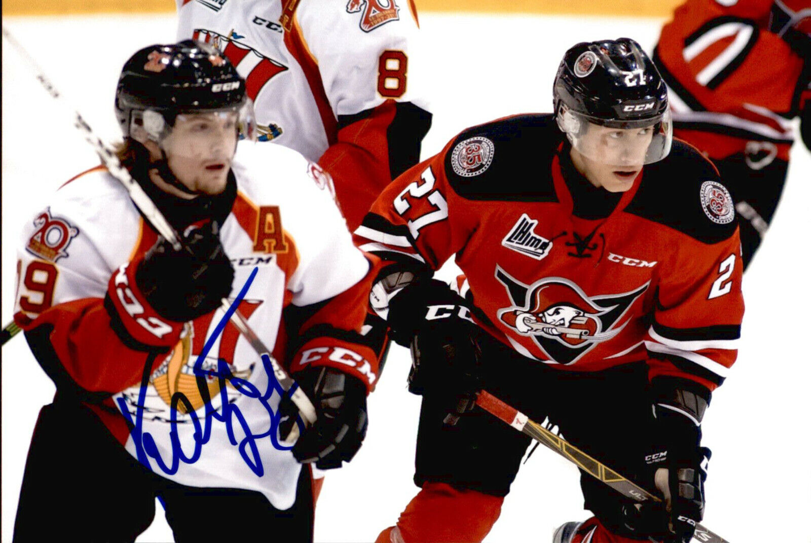 Pavel Koltygin SIGNED 4X6 Photo Poster painting DRUMMONDVILLE VOLTIGEURS / NASHVILLE PREDATORS