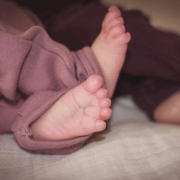 17" Jasmine Realistic Reborn Baby Girl