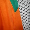 2026 Player Version C&ocirc;te d'Ivoire Orange Shorts 1:1 Thai Quality