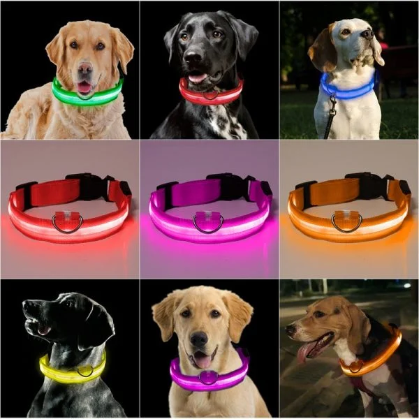 Glowing Dog Collar LED Safety Leash