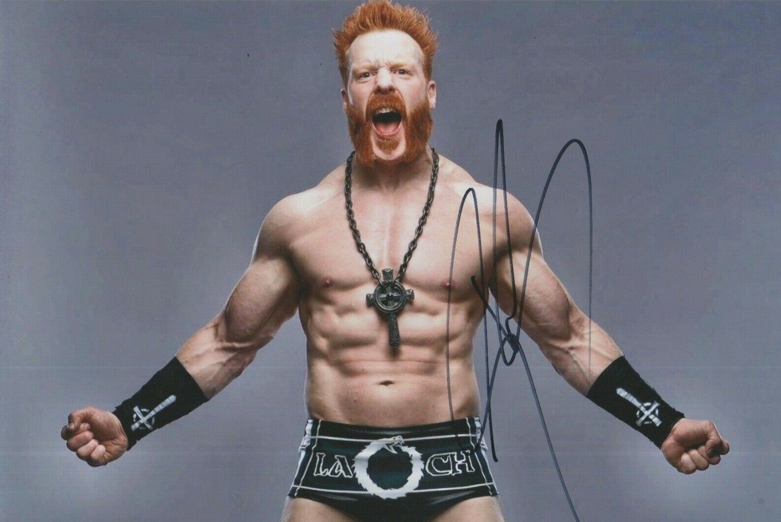 Sheamus (WWE) **HAND SIGNED** 8x12 Photo Poster painting ~ AUTOGRAPHED