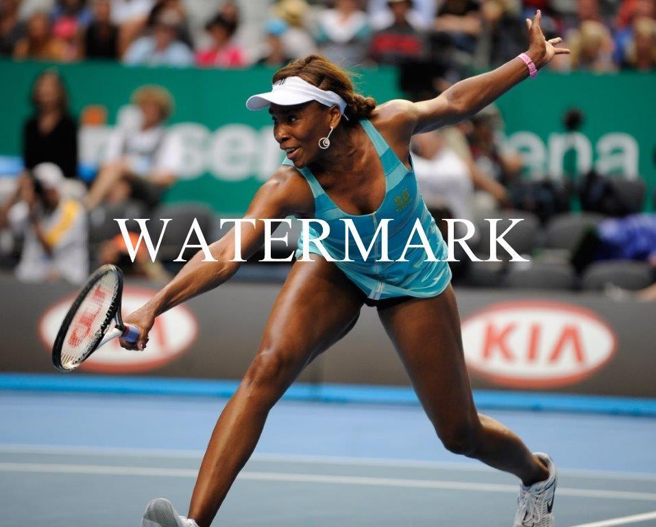 VENUS WILLIAMS Tennis Glossy 8 x 10 Photo Poster painting Poster