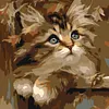 Framed Pear Cat-Paint By Numbers Acrylic Painting 20*20CM With Color Box 3ML(12Colors)
