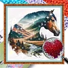 Horse-Partial 11CT Stamped Cross Stitch Bead Embroidery 36*36cm/14.17*14.17in tapestrymarket