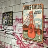 James Taylor - Vintage Metal Signs - 20*30cm/30*40cm - Music