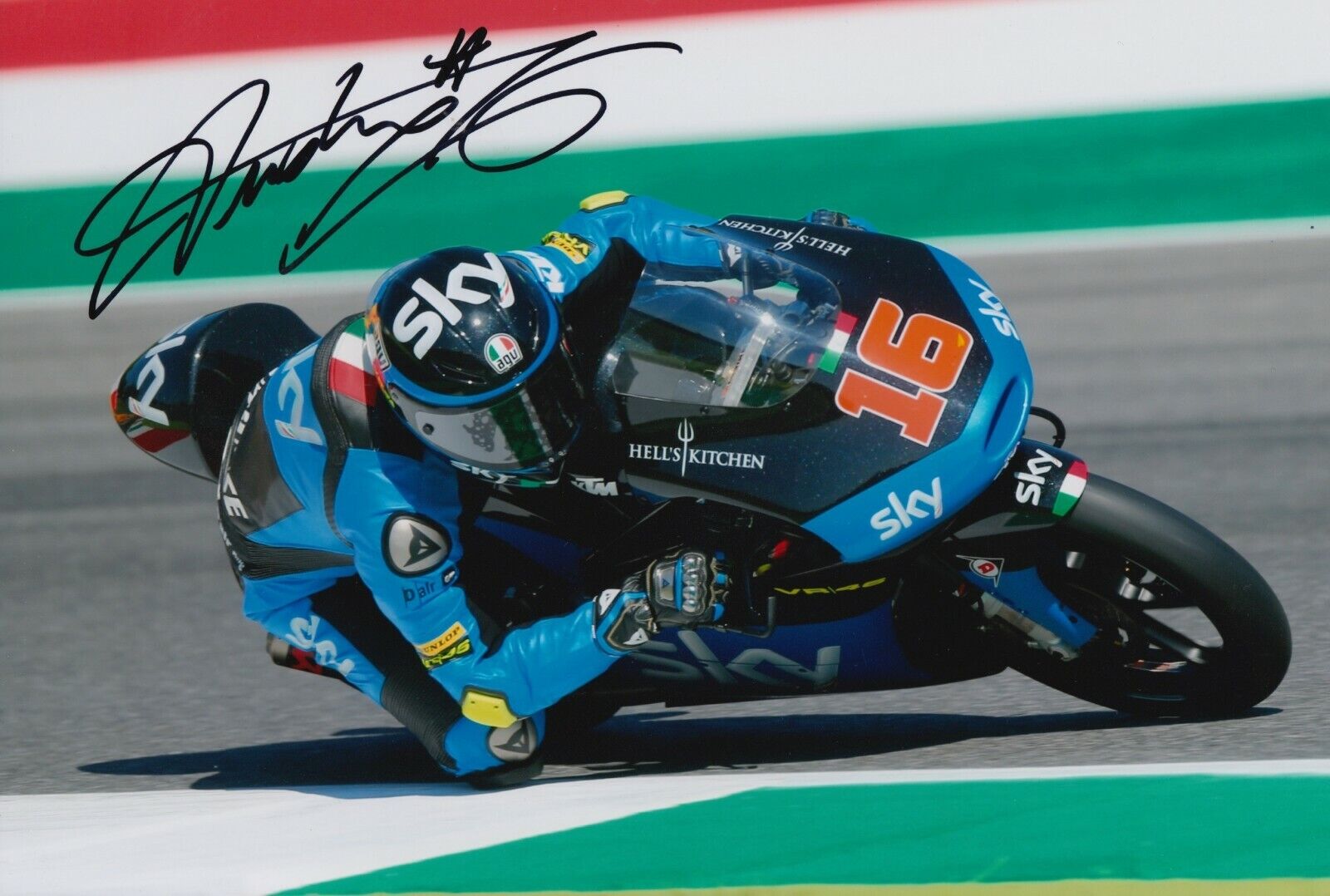 Andrea Migno Hand Signed 12x8 Photo Poster painting - SKY Racing Team VR46 Moto3 - MotoGP 4.