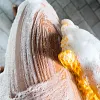 🔥Vente &agrave; chaud ✨&Eacute;ponge Africaine Exfoliante（au citron curcuma et &agrave; l'acide kojique savon brighetning ）