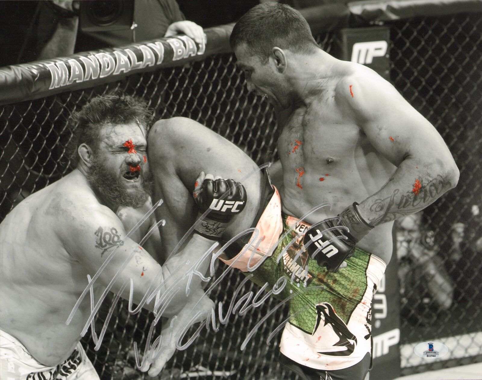 Fabricio Werdum Signed UFC 11x14 Photo Poster painting BAS Beckett COA Picture Autograph 143 188