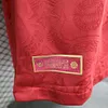 2025/2026 Player Version Bayern Munich 125th Anniversary Football Jersey 1:1 Thai quality