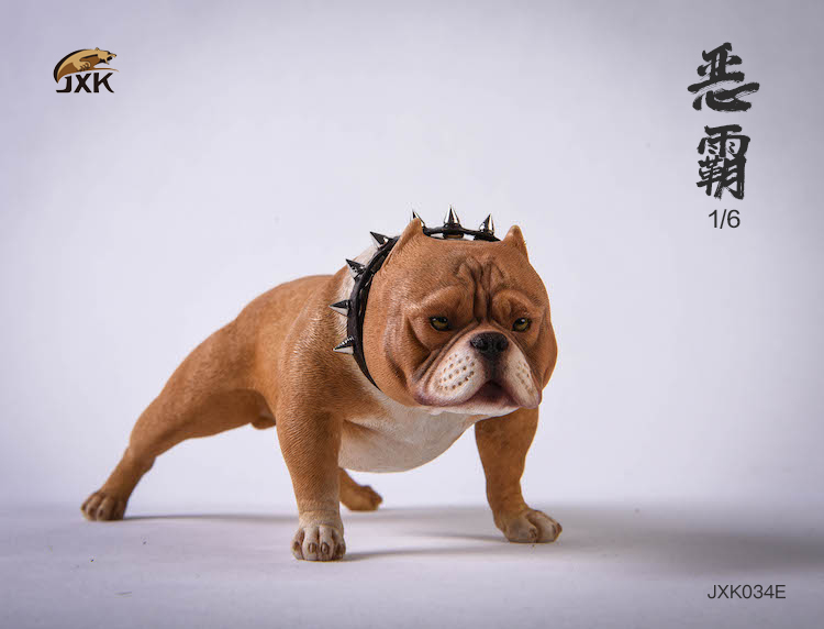 JXK 1/6 JXK034 Bully dog Animal model accessories-aliexpress