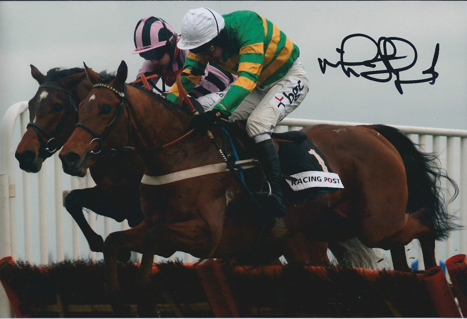 Mick Fitzgerald SIGNED Jockey Autograph 12x8 Photo Poster painting AFTAL COA Gold Cup WINNER