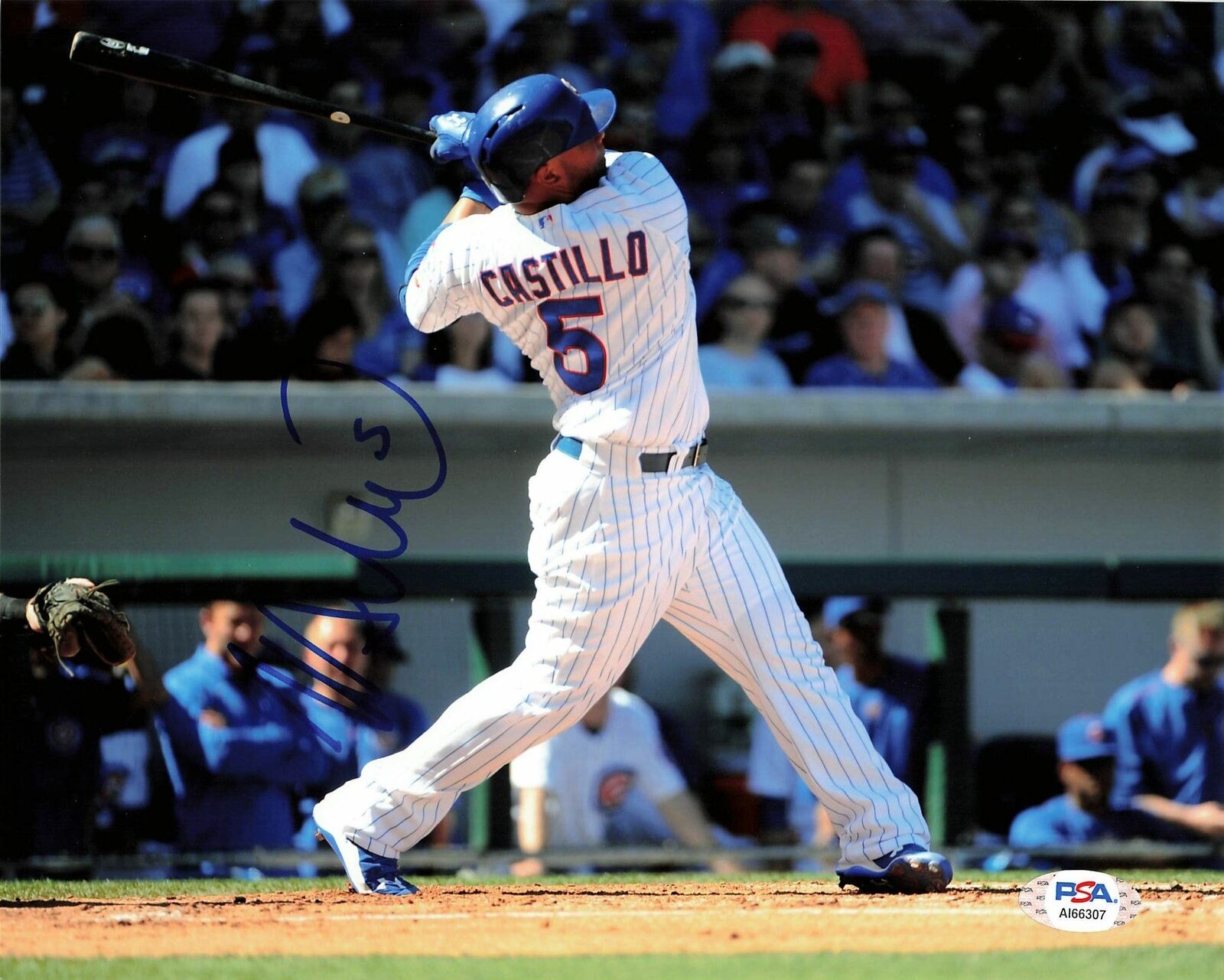 Welington Castillo signed 8x10 Photo Poster painting Chicago Cubs PSA/DNA Autographed